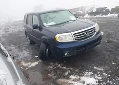 5FNYF4H44EB002049: 43995395