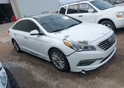 5NPE34AF7FH038344: 43995571