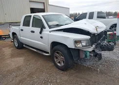 1D7RE3GK1BS661471: 43996981