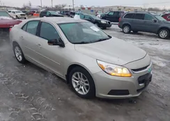 1G11C5SL8EF148944: 43997040