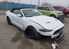 1FATP8UH8N5124900: 43997162