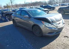 5NPEB4AC2BH128021: 43996543