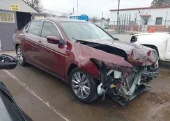 1HGCP2F85BA114981: 43997692