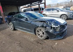 1FA6P8TH1F5387682: 43997788