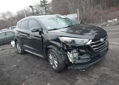 KM8J3CA48JU767177: 43997977