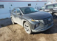 5NMJFCAE7PH231308: 43997987