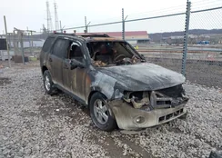 1FMCU9DG9CKB63876: 43998803