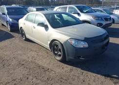 1G1ZB5EB7AF162269: 43998921