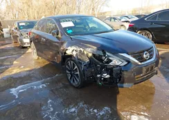 1N4AL3AP6JC194029: 43999095