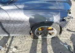 ZARFAMANXK7603353: 43999208