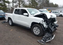 1N6ED1EK0PN631299: 43999253