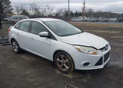 1FADP3F29DL206337: 43999796