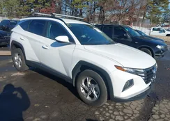 5NMJBCDE1RH413337: 44000729