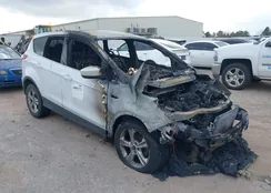 1FMCU0GX4FUB80486: 44001272