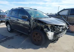 JTMZFREV1EJ019091: 44001513