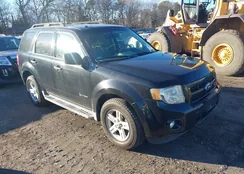 1FMCU5K31BKB47274: 44003051