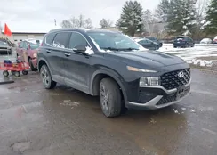 5NMS2DAJ6PH518318: 44002358