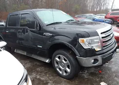 1FTFW1ET3DFC16123: 44005241