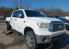 5TFEY5F12BX113292: 44005902