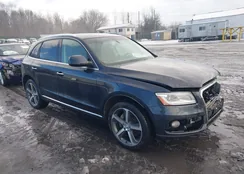 WA1CVAFP7GA007373: 44006112