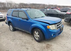 1FMCU0D7XBKB39046: 44005395