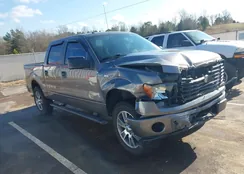 1FTFW1EF9EFB56523: 44006288