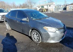 2T1BURHE9FC292649: 44006530