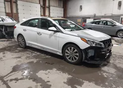 5NPE34AF4HH446416: 44006539