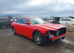 2C3CDXCT3EH337981: 44008041