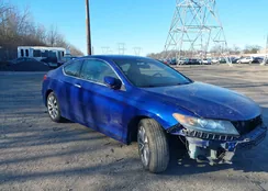 1HGCT1B38FA008420: 44007481