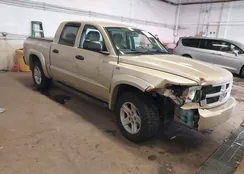 1D7RW3GP1BS572069: 44008683