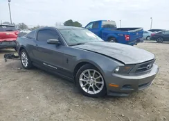 1ZVBP8AM5B5144554: 44010051