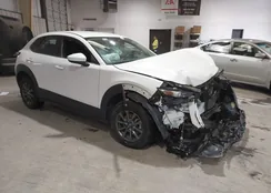 3MVDMAAL4MM215550: 44009376