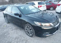 1HGCR2F53FA175896: 44010836