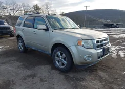 1FMCU9EG4BKB17661: 44010429