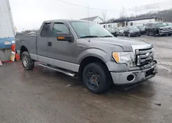 1FTFX1EF8BFD05836: 44010592