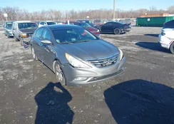 5NPEC4AC0DH585782: 44010595