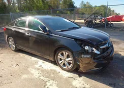 5NPEC4AC3BH101830: 44011653