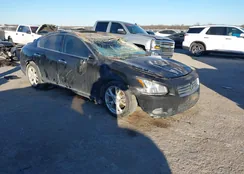 1N4AA5AP7EC448371: 44011822