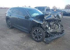 JM3KFBEM5N0553885: 44011317