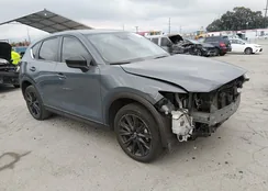 JM3KFBCM6P0240043: 44012646