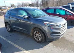 KM8J23A46HU417169: 44012793