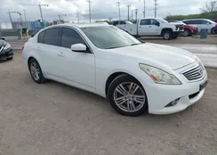 JN1CV6AP0BM300147: 44013664