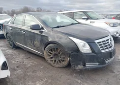 2G61T5S3XD9100122: 44014007