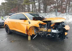 ZPBUB3ZL7RLA31311: 44013457