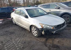 1HGCP36868A041179: 44015051