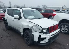 ZACNJABB7LPL53726: 44014489