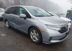 5FNRL6H64RB011916: 44014501