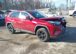 2T3P1RFV6PW365422: 44017967