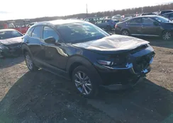 3MVDMBBM3PM557217: 44018687